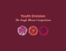Youth Division